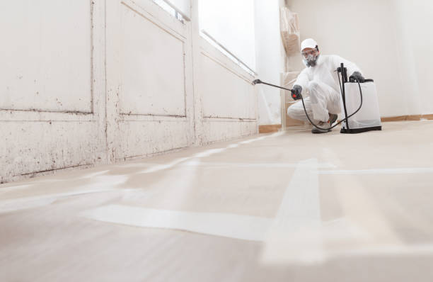 24/7 Emergency Commercial Mold Remediation experts in Hudson, TX
